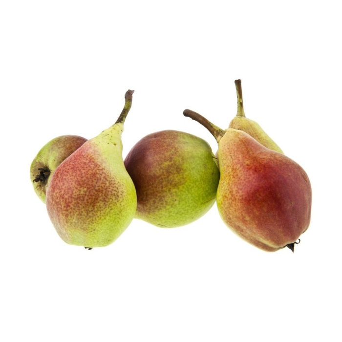 Груша лесная красавица