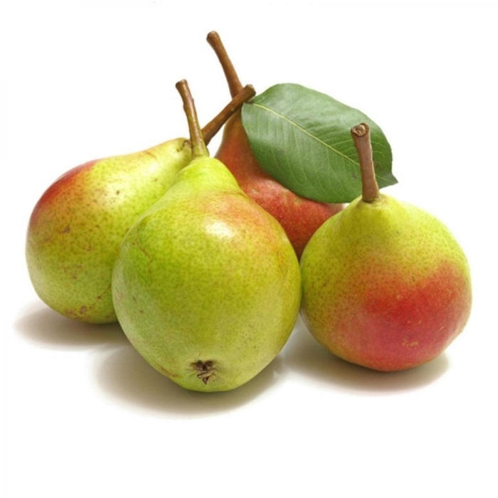 Груша армут