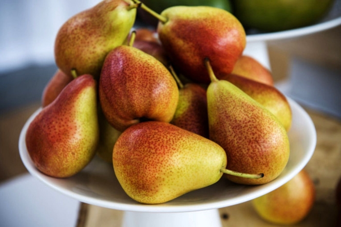 Сорт груши форель