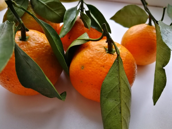 Лист мандарина