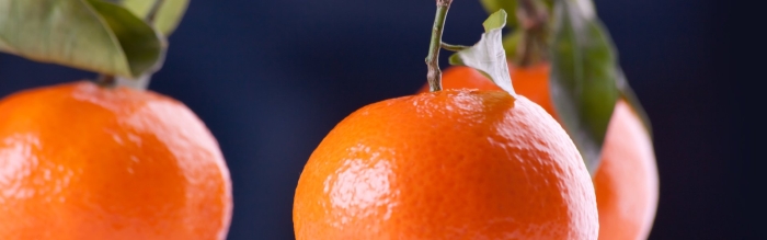 Мандарин танжерин