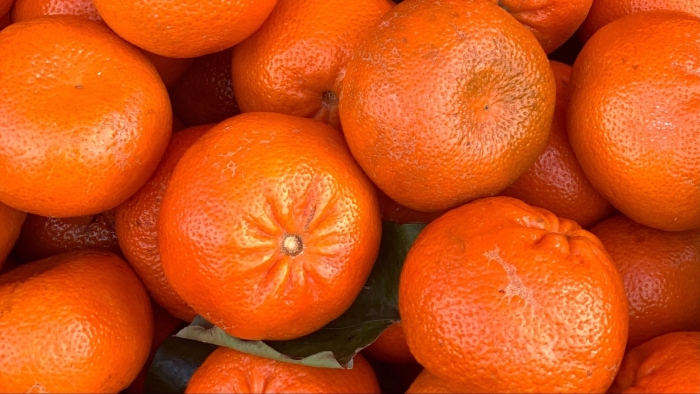 Оранжевые фрукты