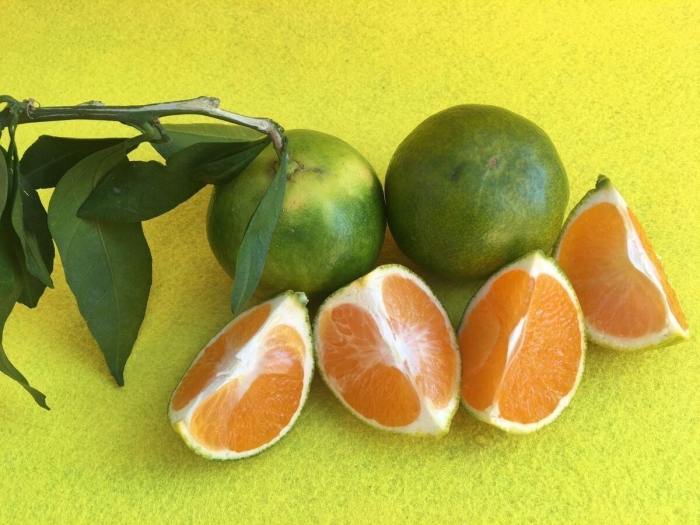 Мандарины зеленые турция