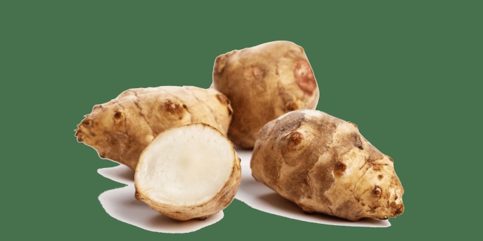 Земляная груша топинамбур