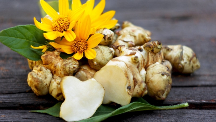 Растение топинамбур