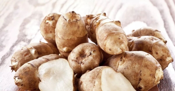 Топинамбур скороспелка