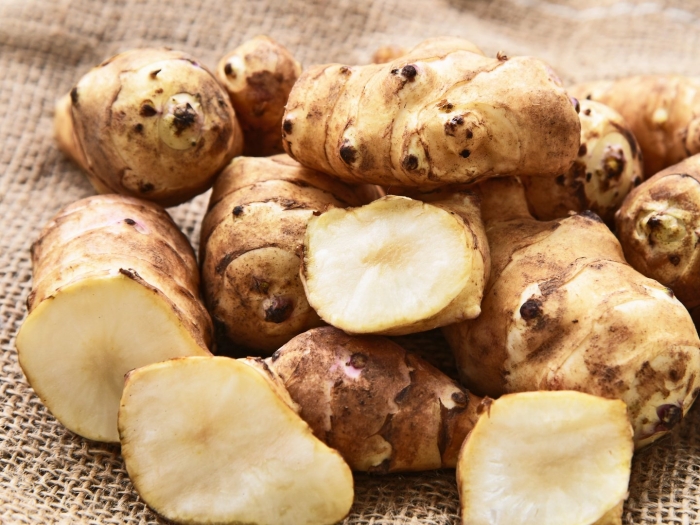 Клубень топинамбура земляной груши