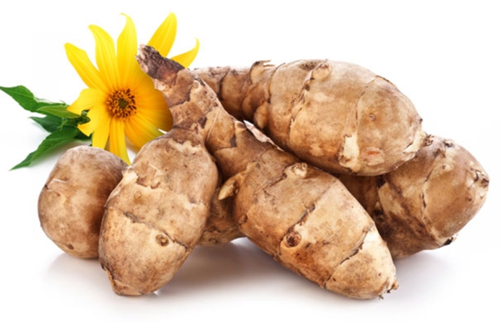 Топинамбур семейство