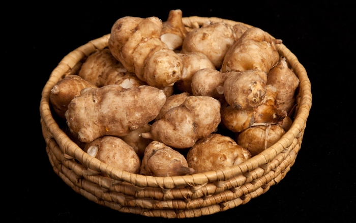 Топинамбур кормовой