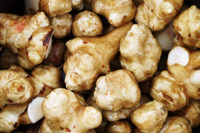 Топинамбур сорт скороспелка