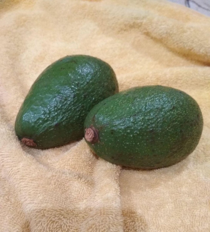 Спелое авокадо