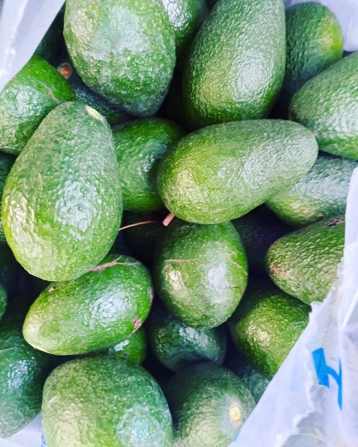 Авокадо сорт