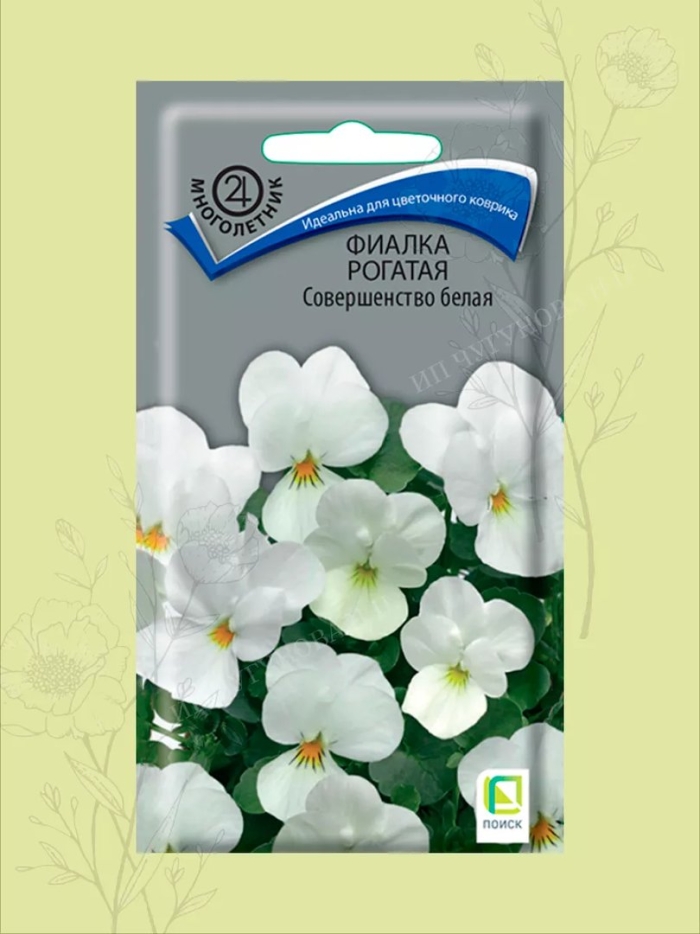 Фиалка рогатая совершенство белая