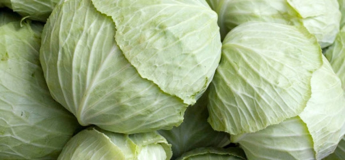 Капуста сорт