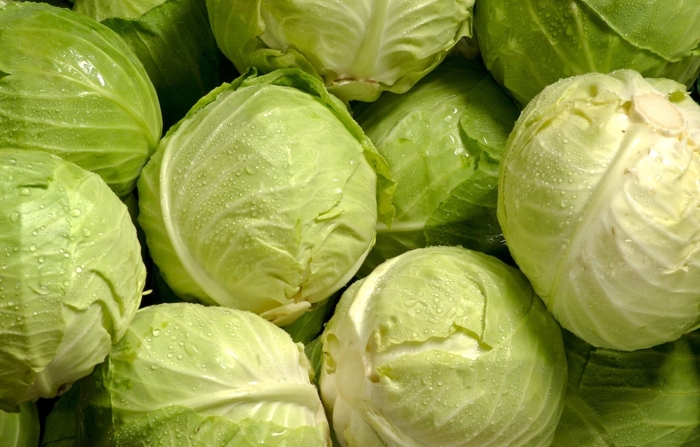 Капуста белокочанная