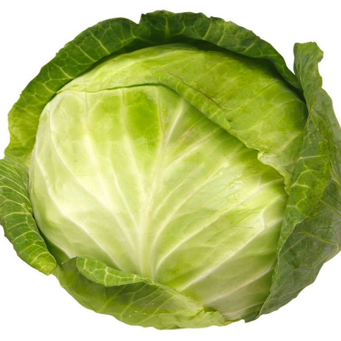 Белокочанная капуста