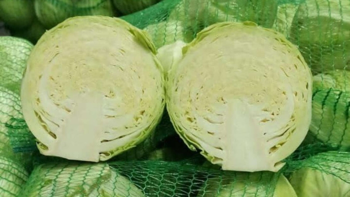 Капуста зенон