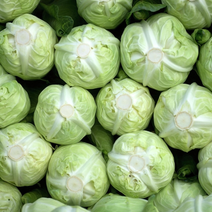 Гора капусты