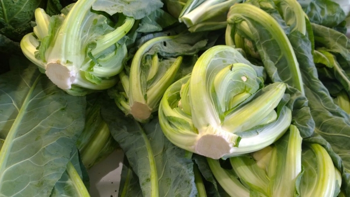 Браганза капуста