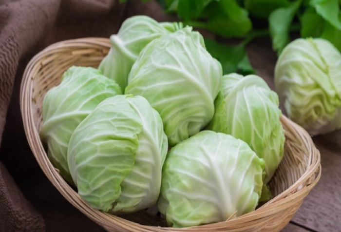 Белокочанная капуста