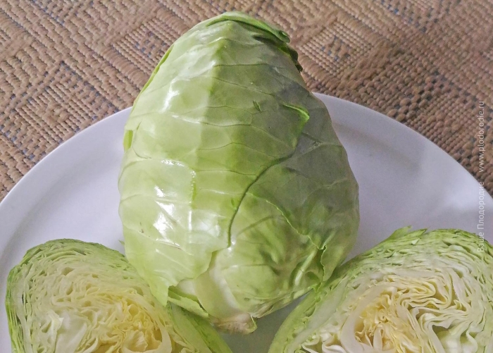 Капуста прайверд