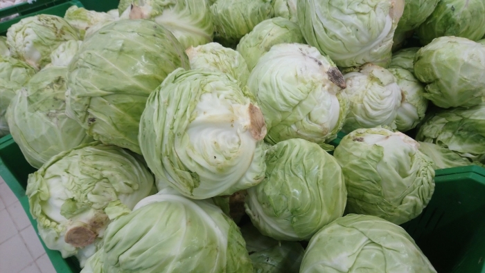 Капуста самсон