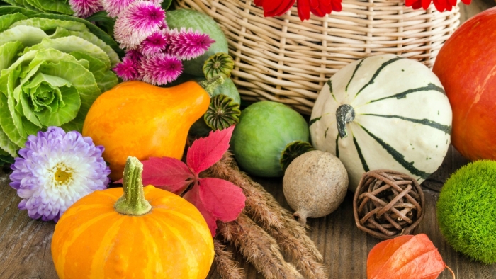 Осенние овощи