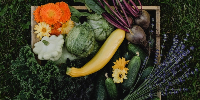 Летние овощи