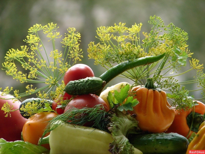 Красивые овощи