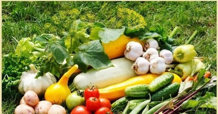 Овощи с огорода