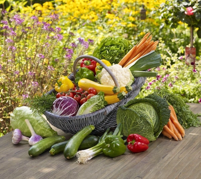 Овощи на огороде