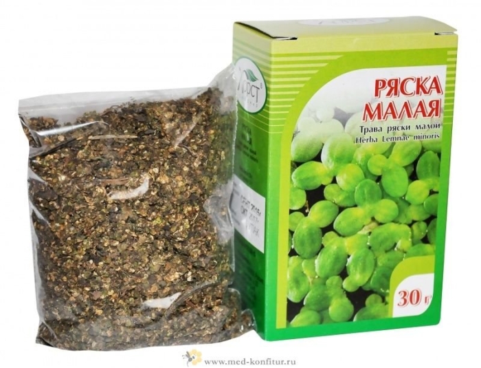 Ряска малая трава