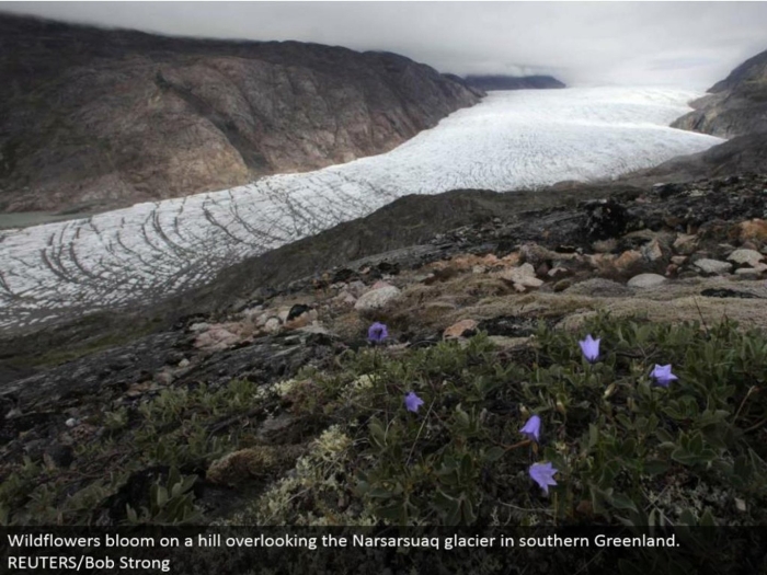 Калааллит нунаат