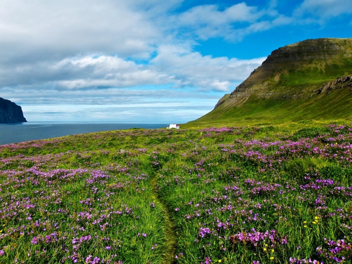 Хорнстрандир исландия