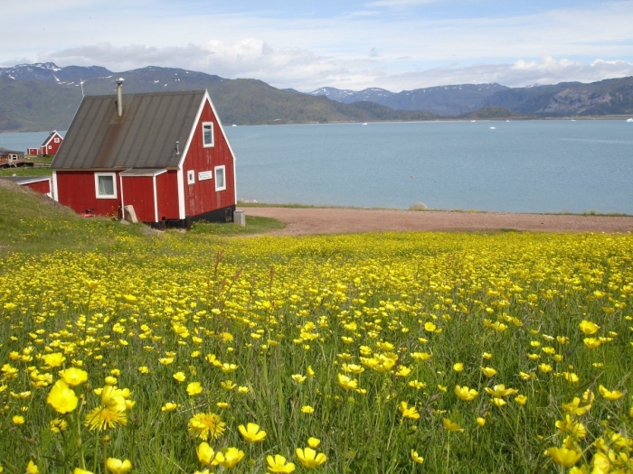 Нарсак гренландия