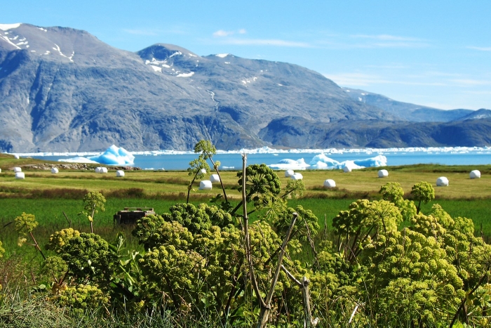 Долина кинкуа гренландия