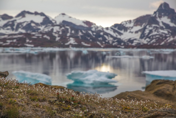 Гренландия куллорсуак