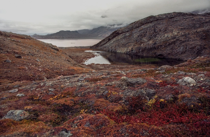Северо-восточный гренландский национальный парк