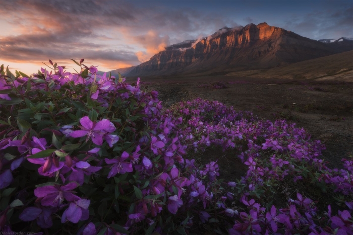 Природа пейзаж