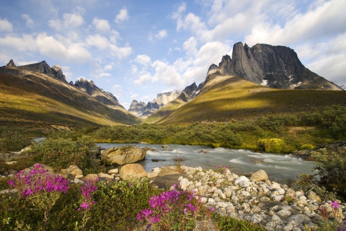 Национальный парк северо-восточной гренландии
