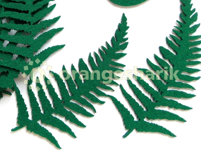 Папоротник паршеман