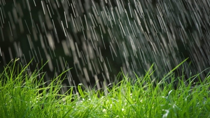 Дождь природа