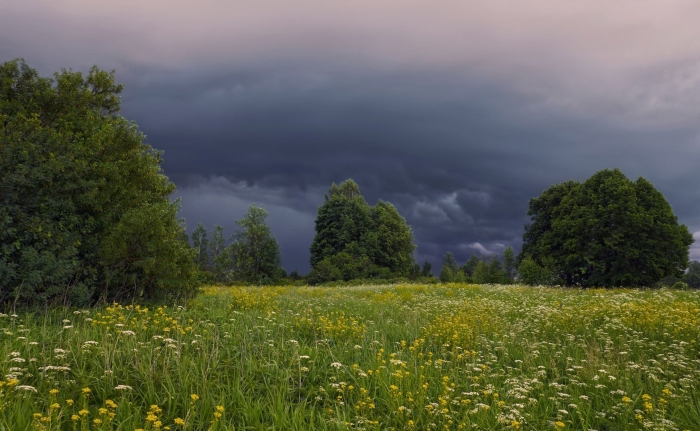 Природа перед грозой