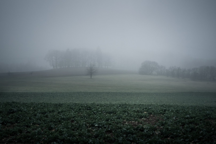 Мрачный пейзаж