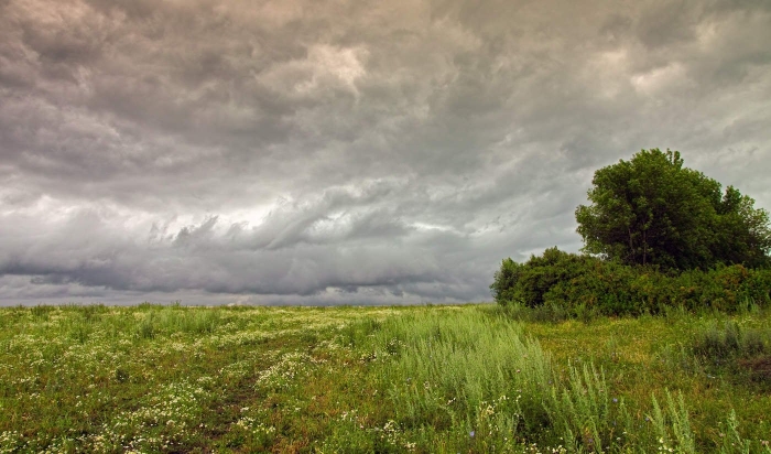 Пасмурные дни