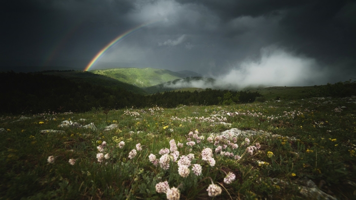 Природа после дождя