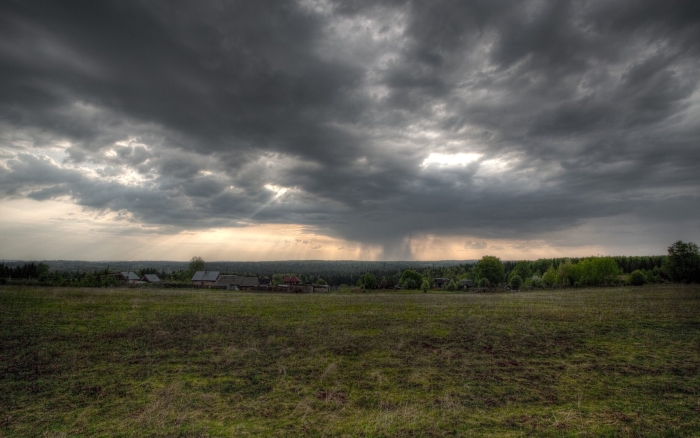 Пасмурное поле