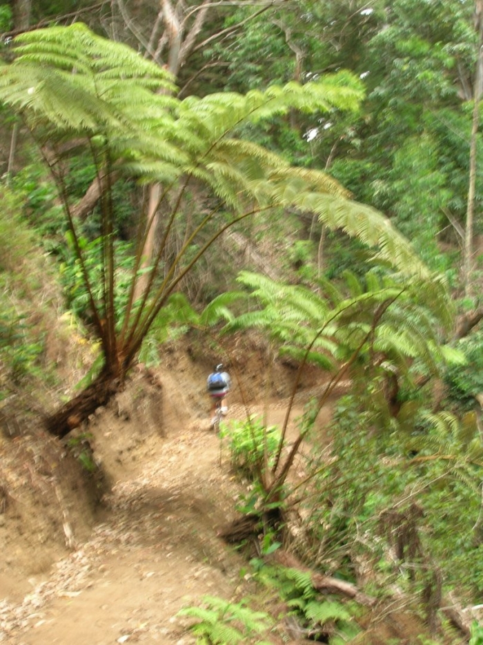 Mountain bike trail
