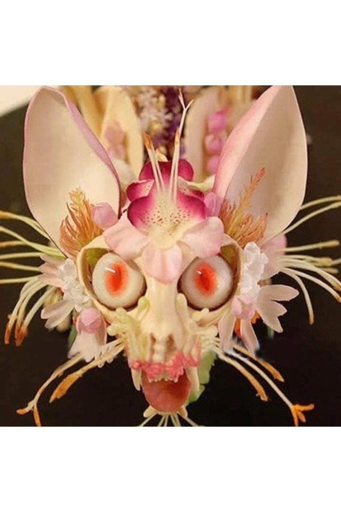 Странные цветы