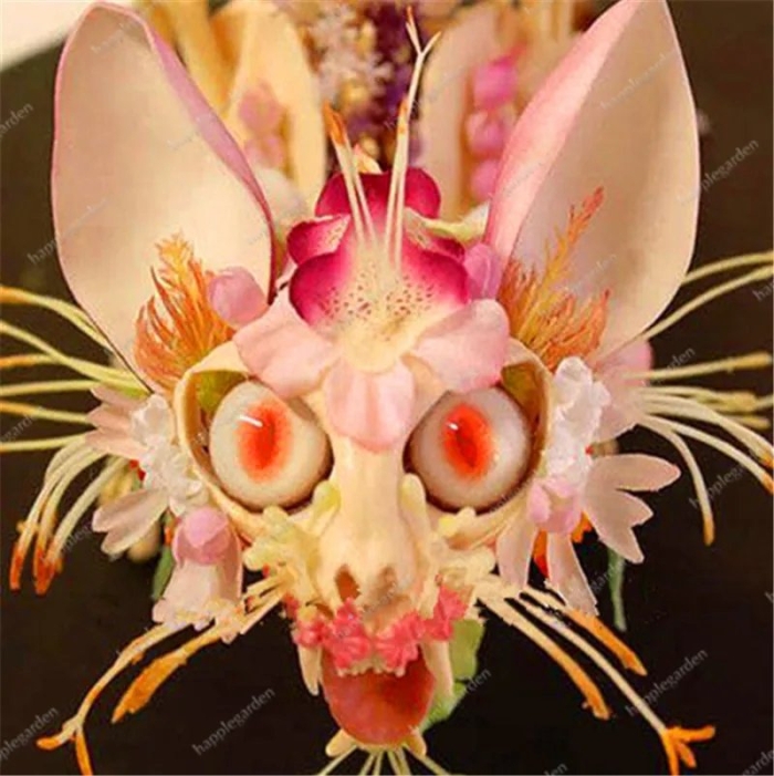 Орхидейные богомолы